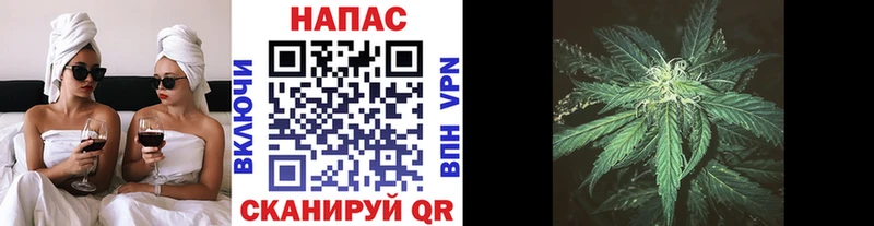 Где купить наркотики Выборг Амфетамин  Мефедрон  A-PVP  Псилоцибиновые грибы  omg рабочий сайт  Каннабис  COCAIN 
