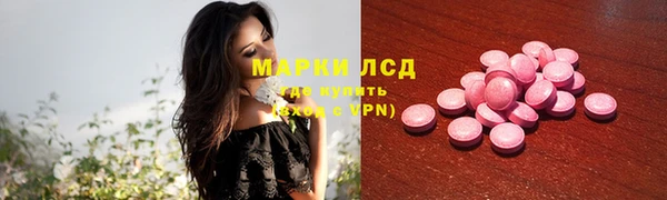 крисы Богородицк