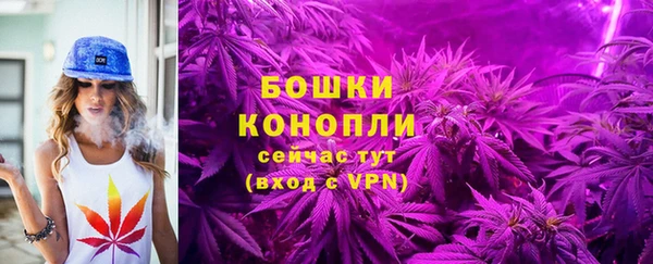 крисы Богородицк