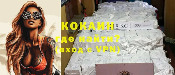 крисы Богородицк