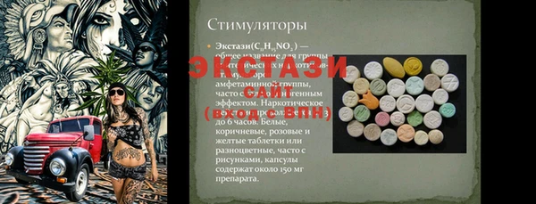 крисы Богородицк