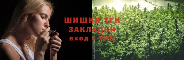 крисы Богородицк