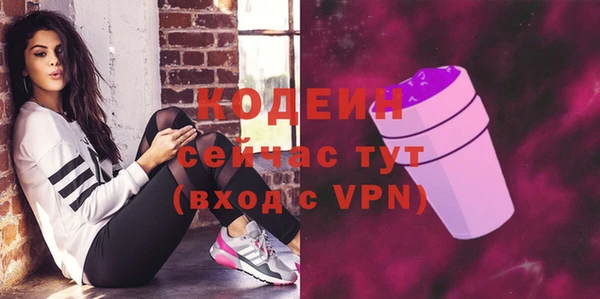 крисы Богородицк